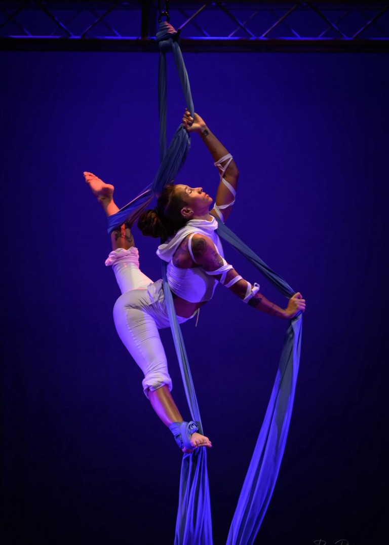 Intro to Aerial Arts Course